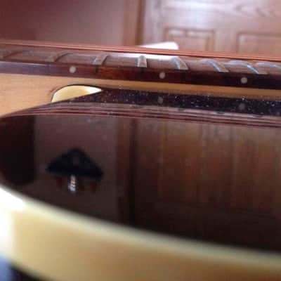 Kramer Ferrington KFT-1 Thin Body Acoustic/Electric Guitar image 13