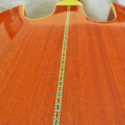SG Style Acoustic-Electric image 10