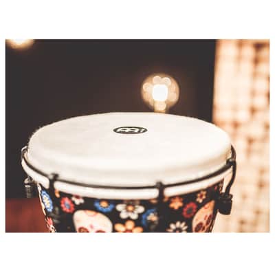 Meinl 10" Alpine Series Djembe, Day of the Dead ADJ10-DA image 3