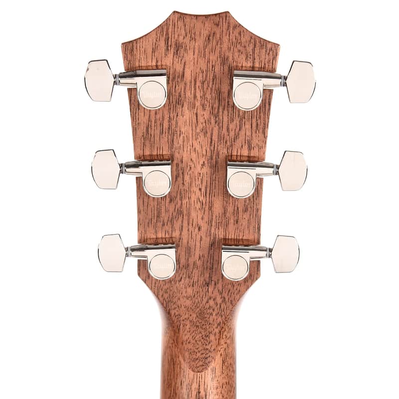 Taylor Builder's Edition 717 with V-Class Bracing image 7