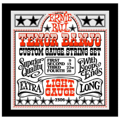 Ernie Ball 2306 - Tenor Banjo Light Bild 2