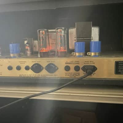 1985 Marshall JCM800 2204 50-Watt Guitar Amp Head & McKinley Ibanez TS9 PLUS image 15