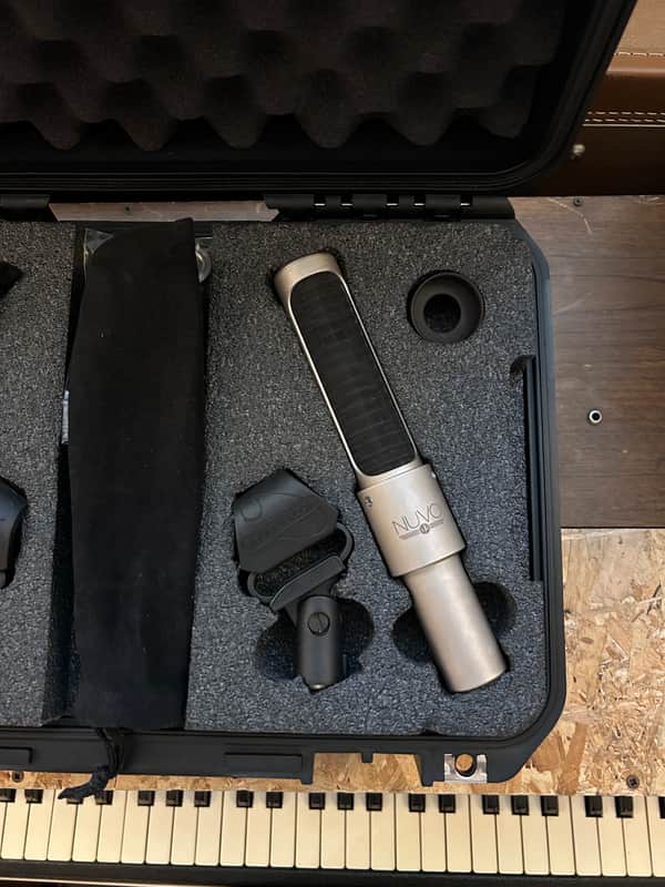 AEA Nuvo N22 Pair + Stereo Accessory Kit - 2022 image 1