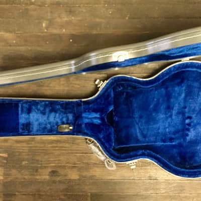 Epiphone 335 Hard Shell Guitar Case (Fits Casino, Dot, ES 335, Sheraton, Unionjack, etc..) image 8