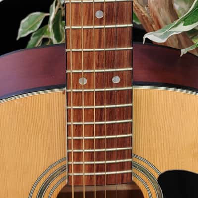 Olympia by Tacoma OD-2 Dreadnought Acoustic Guitar 2000's - Natural image 5