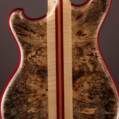 2015 Alembic Further FLG6, Purpleheart/Buckeye image 24