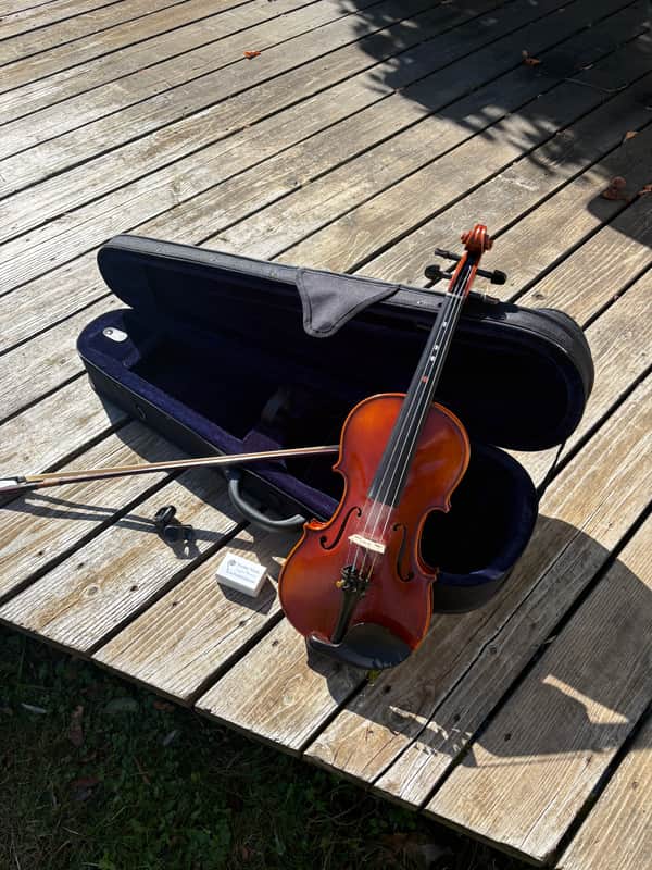 Fiddleheads violins VN100L 2022 - Gloss image 1