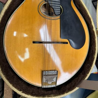 Lyon & Healy Style "B" 1920's - Natural #SR-11-69 image 2