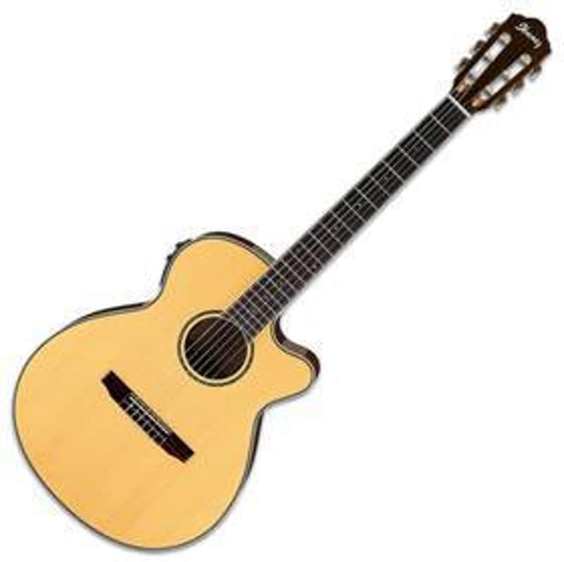 Ibanez Aeg10 Nii Nt Natural High Gloss image 1