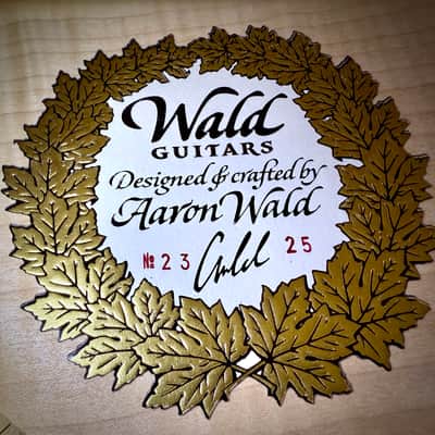 2025 Wald 17-inch Archtop - Brand New - Custom TRM Build Bild 14