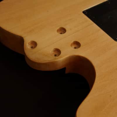 Custom Ibanez body routed for AANJ Wizard neck, and Original Edge tremolo image 9