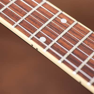 Washburn Dimebag Darrell 333 Blackjack | Black image 13