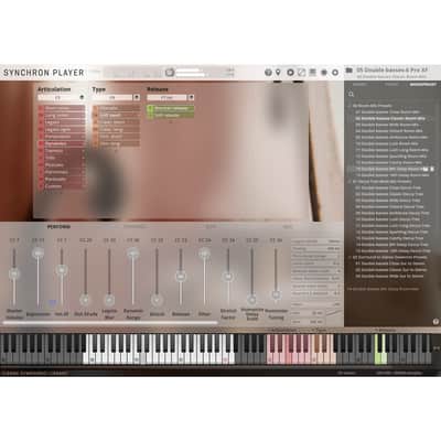 Vienna Symphonic Library Synchron Strings Pro - Full Library image 3