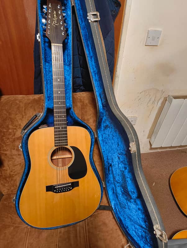 Takamine Ef385