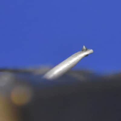 EMPIRE 1000ZE/X Cartridge W/ Oyaide HS-CF Headshell  In Excellent Condition image 8