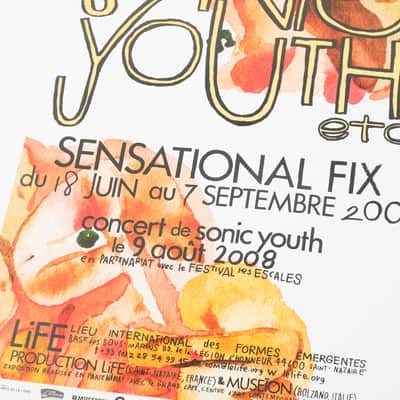 Sonic Youth and Sensational Fix 2008 French Poster #3(White) 24"x16" Owned by Sonic Youth image 3