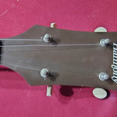 Harmony Long Neck Pete Seeger image 5