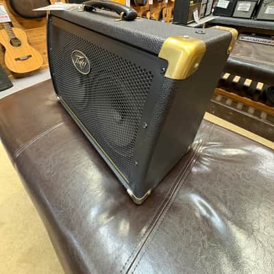 Peavey Ecoustic E208 30W 2x8" Acoustic Amp 2010s | Black | In-Store Only (for now) image 2