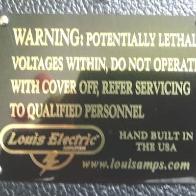 Louis Electric 'Buster' Amp 2013 Black/Tan image 7