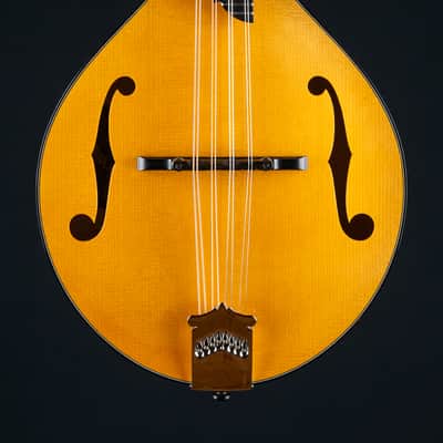 Collings MT2 Honey Amber Adirondack Spruce and Flamed Maple Mandolin NEW image 4