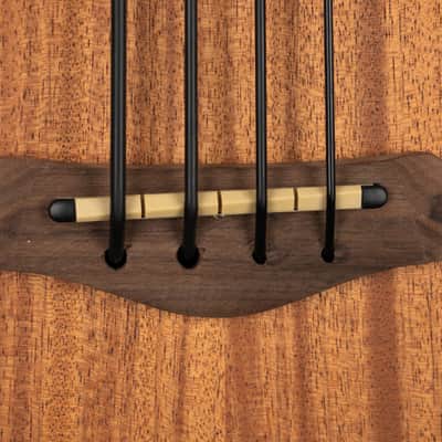 Gold Tone GT Series Micro Bass image 6