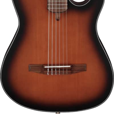 Ibanez FRH10N Thinline Acoustic-Electric Classical Guitar, Solid Spruce Top, Brown Sunburst image 2