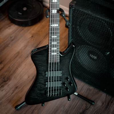 SPECTOR Rex 5 bass guitars