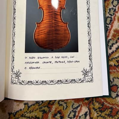 Fine Italian Violin 4/4 by Matteo Mazzotti Italy 2026 image 19