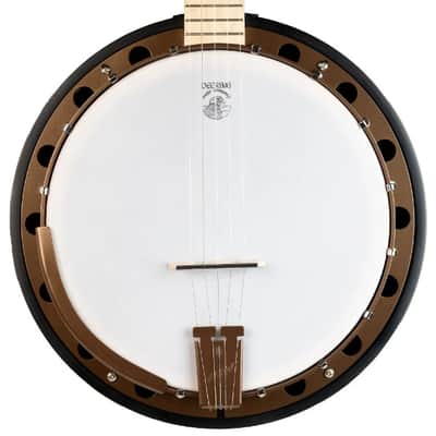 Deering Goodtime Two 5-String Resonator Banjo image 12