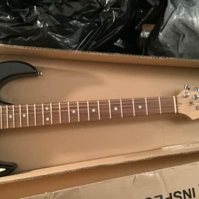 REDUCED until end of Feb then goes to Auction. Ibanez Signature 2004 - Black and white image 3