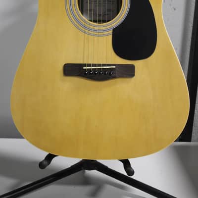 Zager Easy Play ZAD01PK N Acoustic Guitar image 2