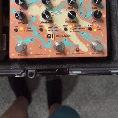 Dream rig! Full pedalboard! image 24