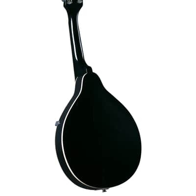 Rover RM-25 A-Style Mandolin - Maple Sunburst image 2
