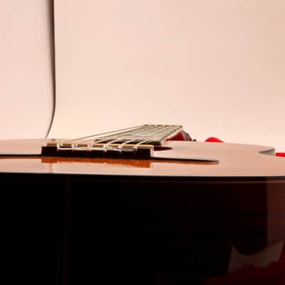 Martin N-20 1968 "Trigger model" image 6