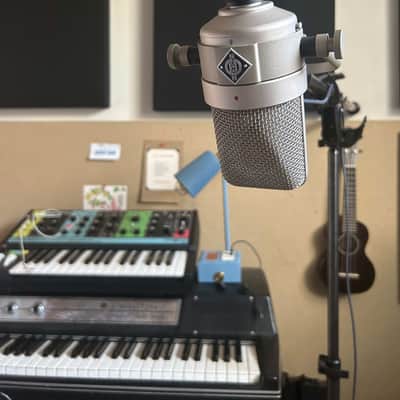 Neumann M 49 V Large Diaphragm Multipattern Tube Condenser Microphone 2022 - Present - Nickel image 2