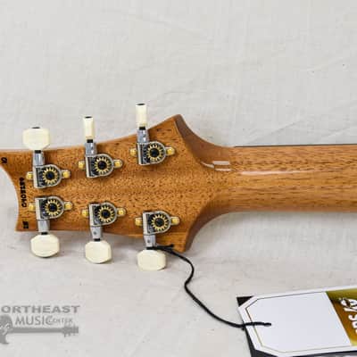 PRS Guitars DGT Signature Birds - Faded Blue Jean 10 Top image 11