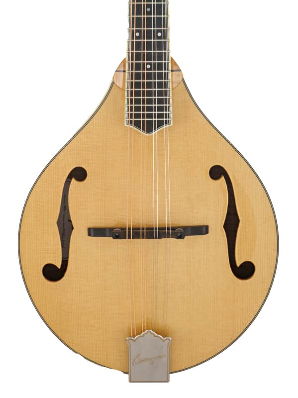 Bourgeois M5-A Mandolin #M0623106 image 1
