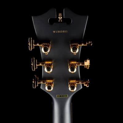 Pre-Owned D’Angelico Deluxe DLX-175 Hollow Body Matte Midnight With OHSC image 15
