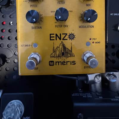 Meris Enzo 2018 - Gold image 1