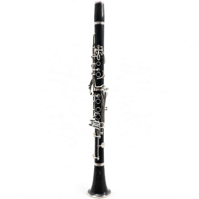Buffet Crampon R13 Professional Bb Clarinet in Grenadilla SN F499157 image 1