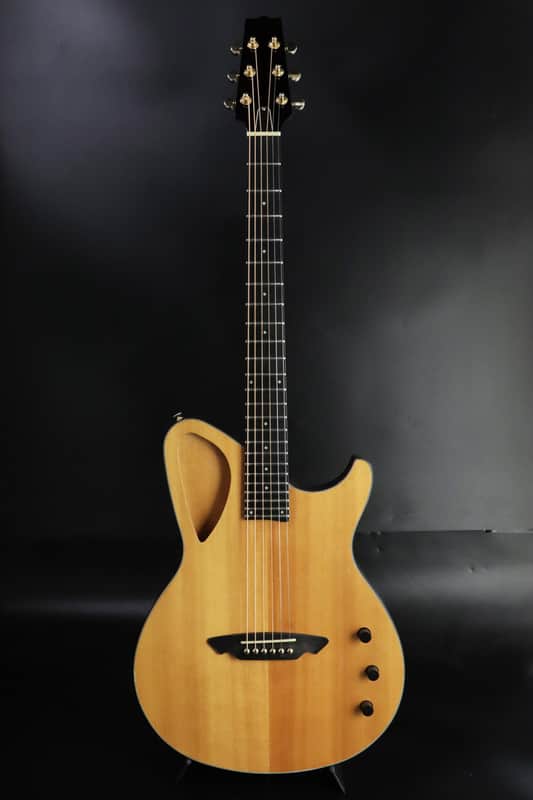 Aria Custom Shop NXP-03 エレアコ Aria Custom Shop NXP-03: Real