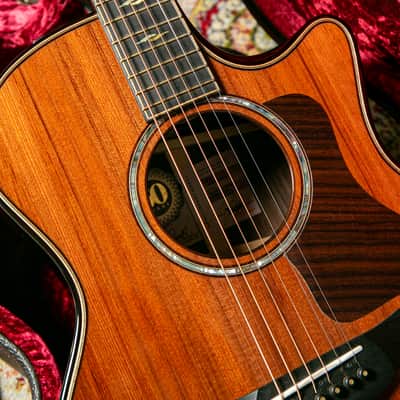 Taylor 50th Anniversary LTD Builder's Edition 814ce Grand Auditorium (1 of 1974) 2024 image 4