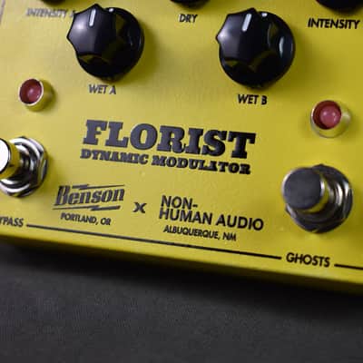 Immagine Benson Amps Florist (Yellow) - 2