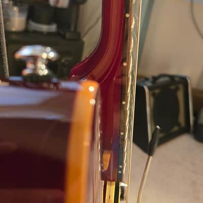 PRS SE Custom 24 2009 - 2011 Black Cherry (Gig Bag Included) image 11
