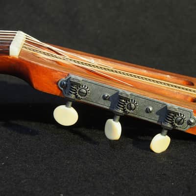 Lyon & Healy Parlor Guitar 1910-1920 - Oak & Spruce image 4