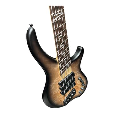 Dingwall ABZ (5) Natural Blackburst, Wenge 9 LBS *IN STOCK* image 4