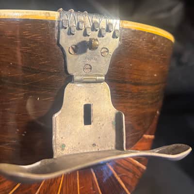 American conservatory Lyon & Healy Bowl Back mandolin - Early 1900s  - Brazilian Rosewood - All Org. - Great Player - Ships FREE!!! image 17