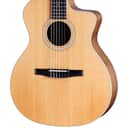 Taylor 214ce-N Grand Auditorium Spruce/Walnut Acoustic-Electric Guitar - Natural