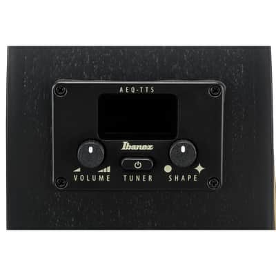 Ibanez AEG1221 12-string Acoustic-Electric Guitar - Black Out image 12