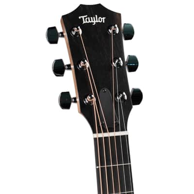 TAYLOR LIMITED EDITION 110CE-S - SAPELE BACK AND SIDES 2023 image 4